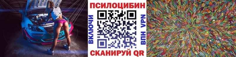 магазин продажи   Богородицк  Псилоцибиновые грибы Psilocybine cubensis 
