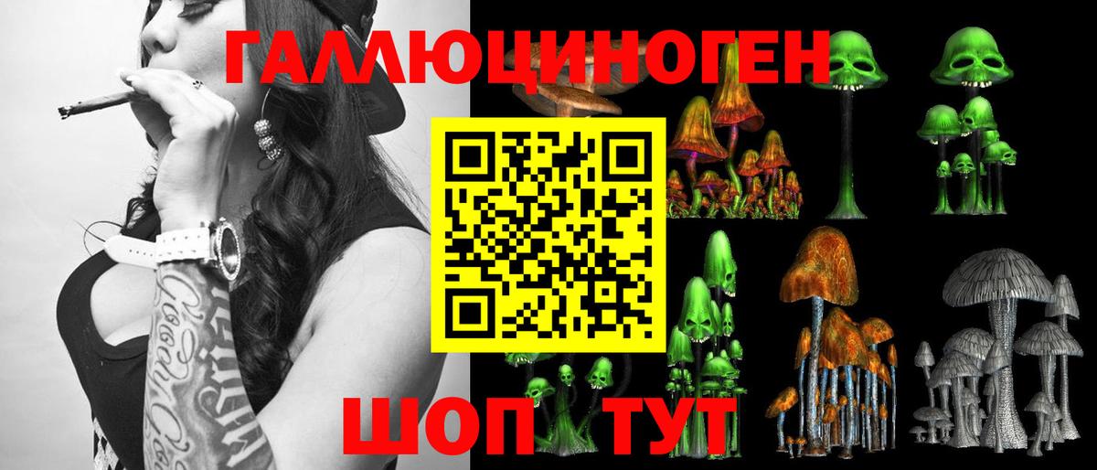 Псилоцибиновые грибы Psilocybe  Галлюциногенные грибы мицелий  где найти   Вход с VPN  Богородицк 