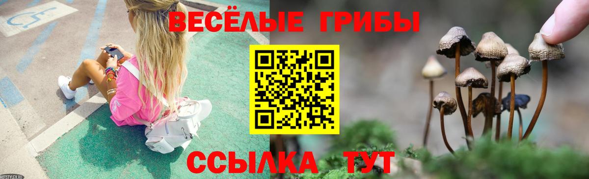 Псилоцибиновые грибы Psilocybine cubensis  Богородицк 